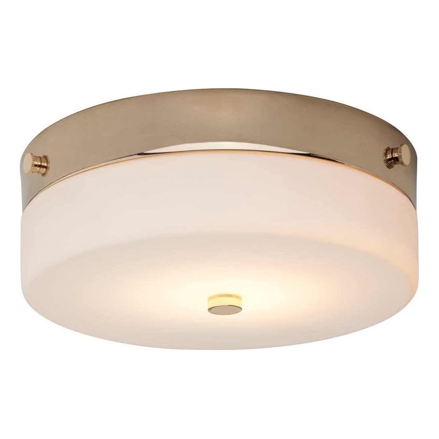 Elstead - LED Kopalniška stropna svetilka TAMAR 1xGX53/5,7W/230V IP44