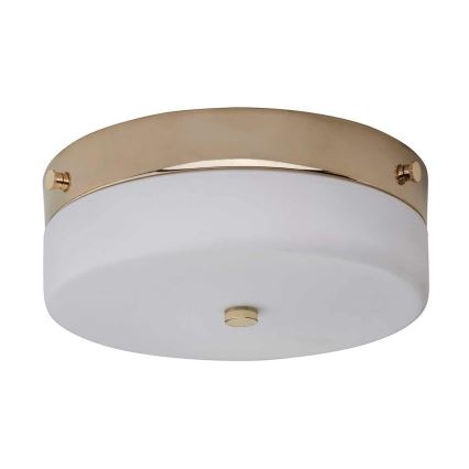 Elstead - LED Kopalniška stropna svetilka TAMAR 1xGX53/5,7W/230V IP44