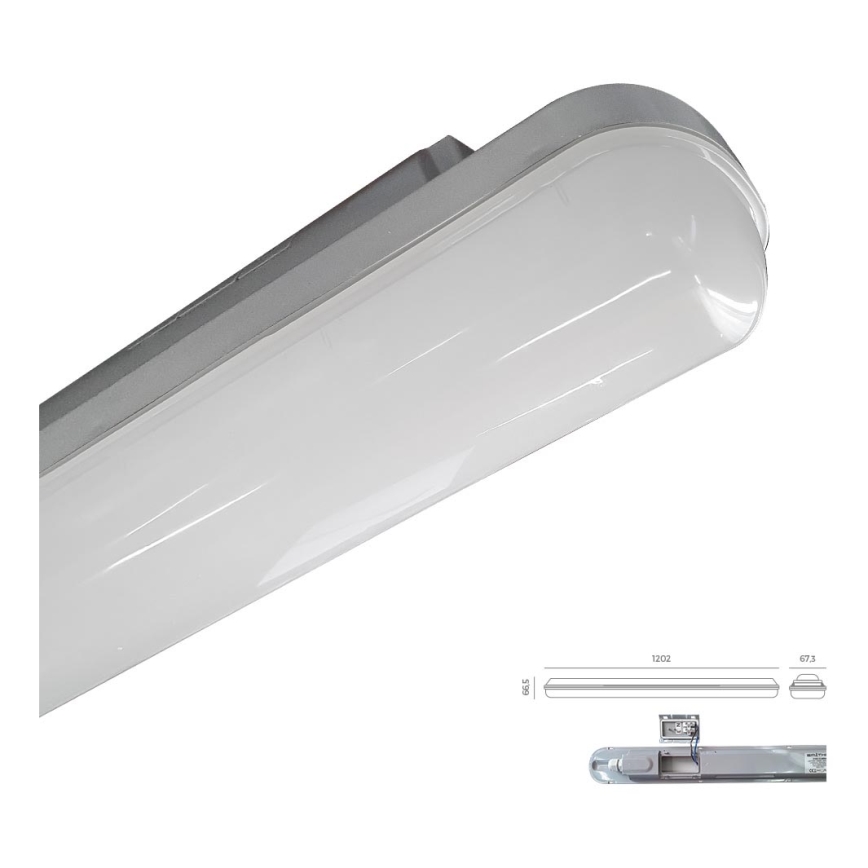 Emithor 31602 - LED Tehnična svetilka ELMINA LED/36W/230V IP65