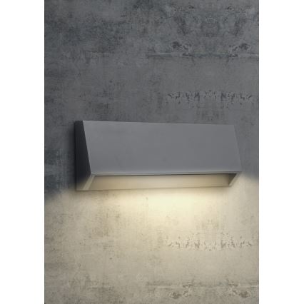 EMITHOR 48330 - LED Zunanja stenska svetilka RADIX LED/2,9W/230V IP65