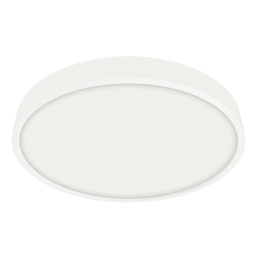 Emithor 49035 - LED Kopalniška stropna svetilka LENYS LED/12W/230V d. 140 mm IP44