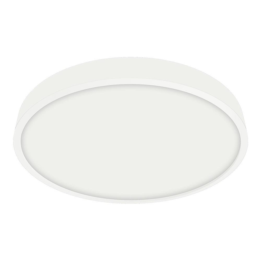 Emithor 49036 - LED Kopalniška stropna svetilka LENYS LED/18W/230V d. 190 mm IP44