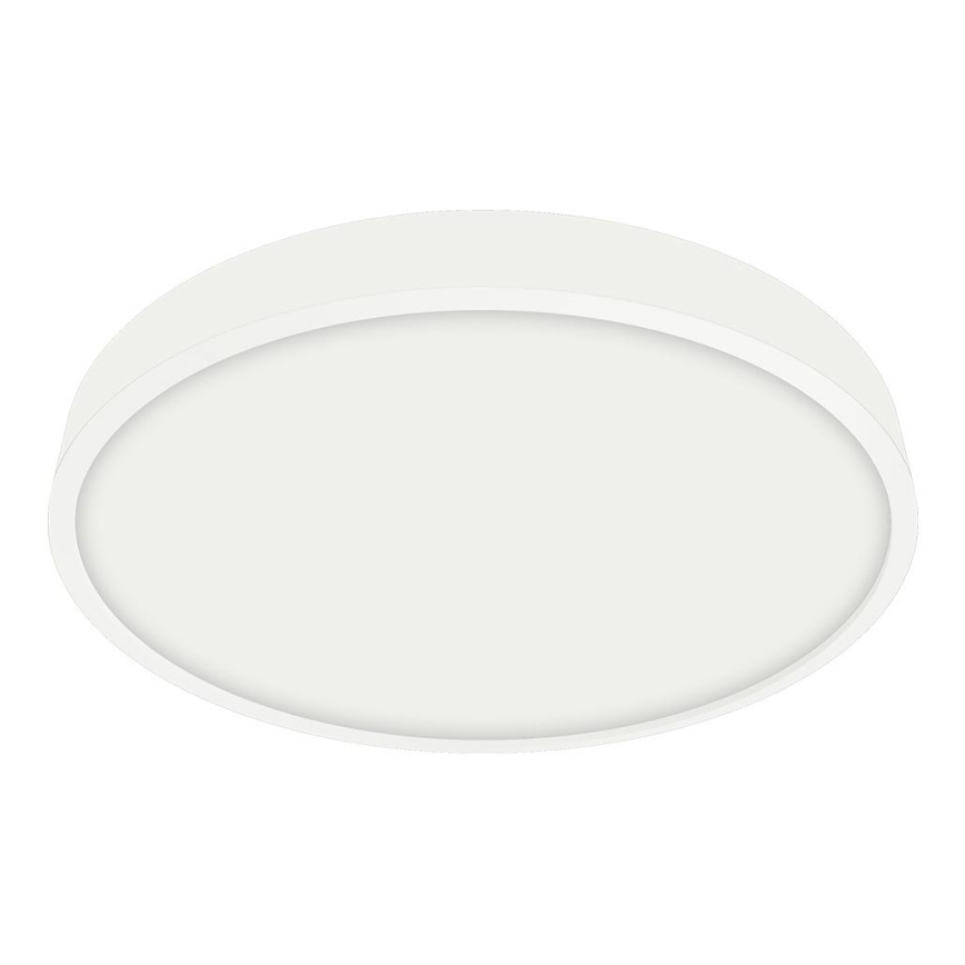 Emithor 49037 - LED Kopalniška stropna svetilka LENYS LED/24W/230V pr. 270 mm IP44