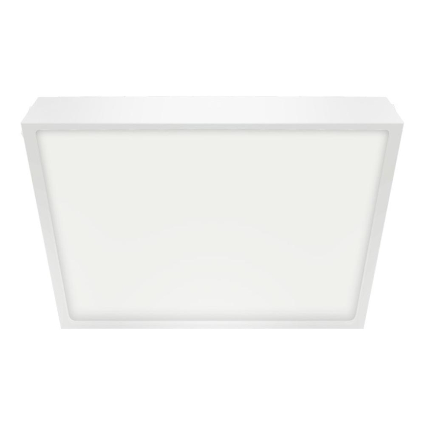 Emithor 49039 - LED Kopalniška stropna svetilka LENYS LED/12W/230V 140 mm IP44