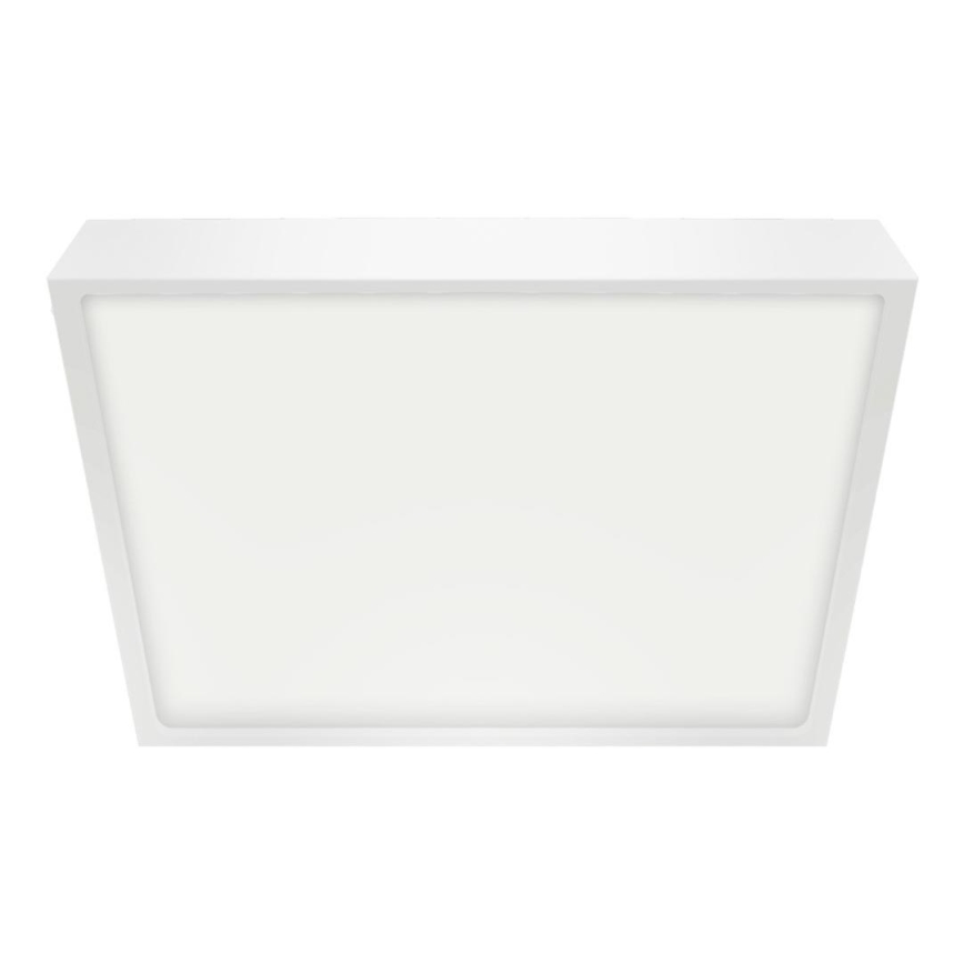 Emithor 49041 - LED Kopalniška stropna svetilka LENYS LED/24W/230V 240 mm IP44