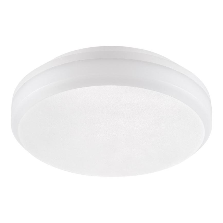 Emithor 63207 - LED Tehnična stropna svetilka SURFACE 1xLED/30W/230V IP65