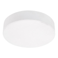 Emithor 63213 - Stropna LED svetilka SURFACE LED/20W/230V