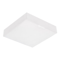 Emithor 63216 - LED stropna svetilka SURFACE LED/15W/230V
