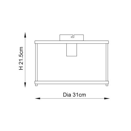 Endon 103112 - Stropna svetilka HOPTON 1xE27/10W/230V matni krom