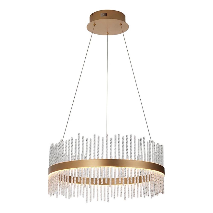 Endon 107671 - LED Zatemnitveni lestenec na vrvici ADRIEL LED/41W/230V 3000K pr. 51 cm zlata/prozorna