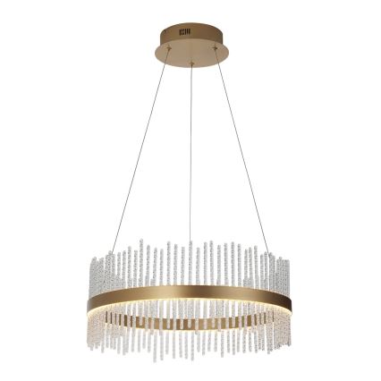 Endon 107671 - LED Zatemnitveni lestenec na vrvici ADRIEL LED/41W/230V 3000K pr. 51 cm zlata/prozorna