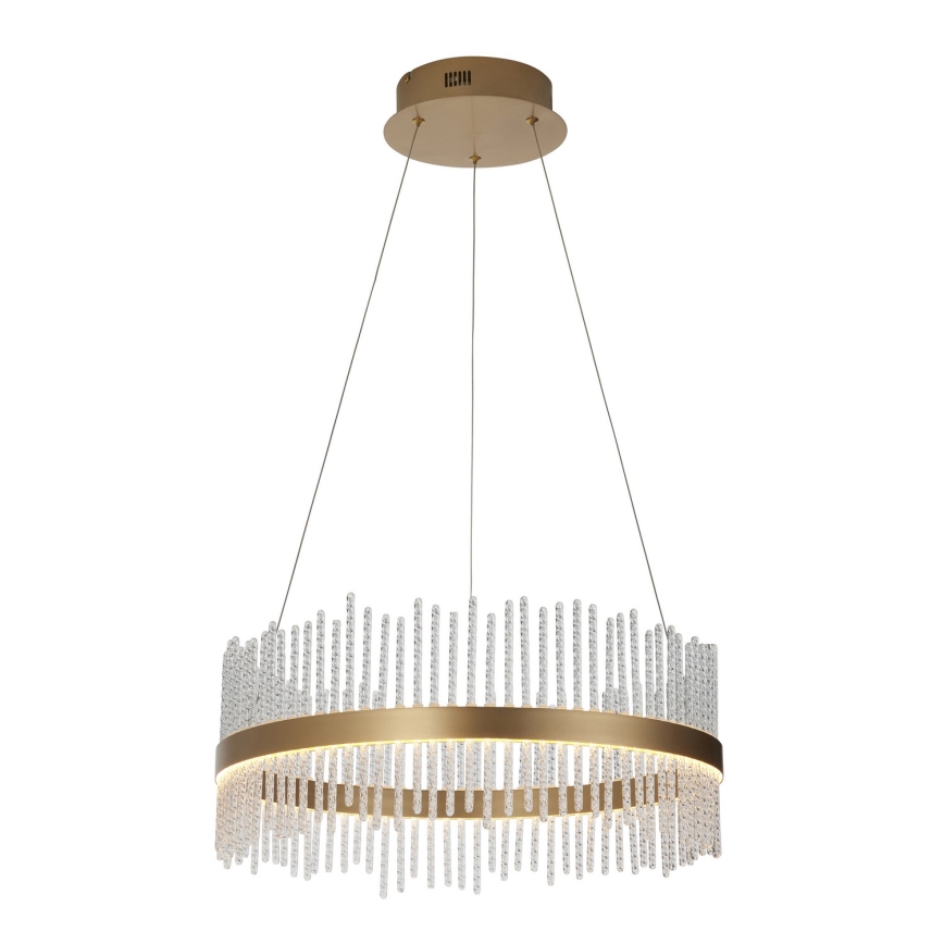 Endon 107671 - LED Zatemnitveni lestenec na vrvici ADRIEL LED/41W/230V 3000K pr. 51 cm zlata/prozorna