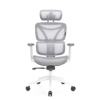 Ergonomski pisarniški stol LEVANO siva/bela/črna