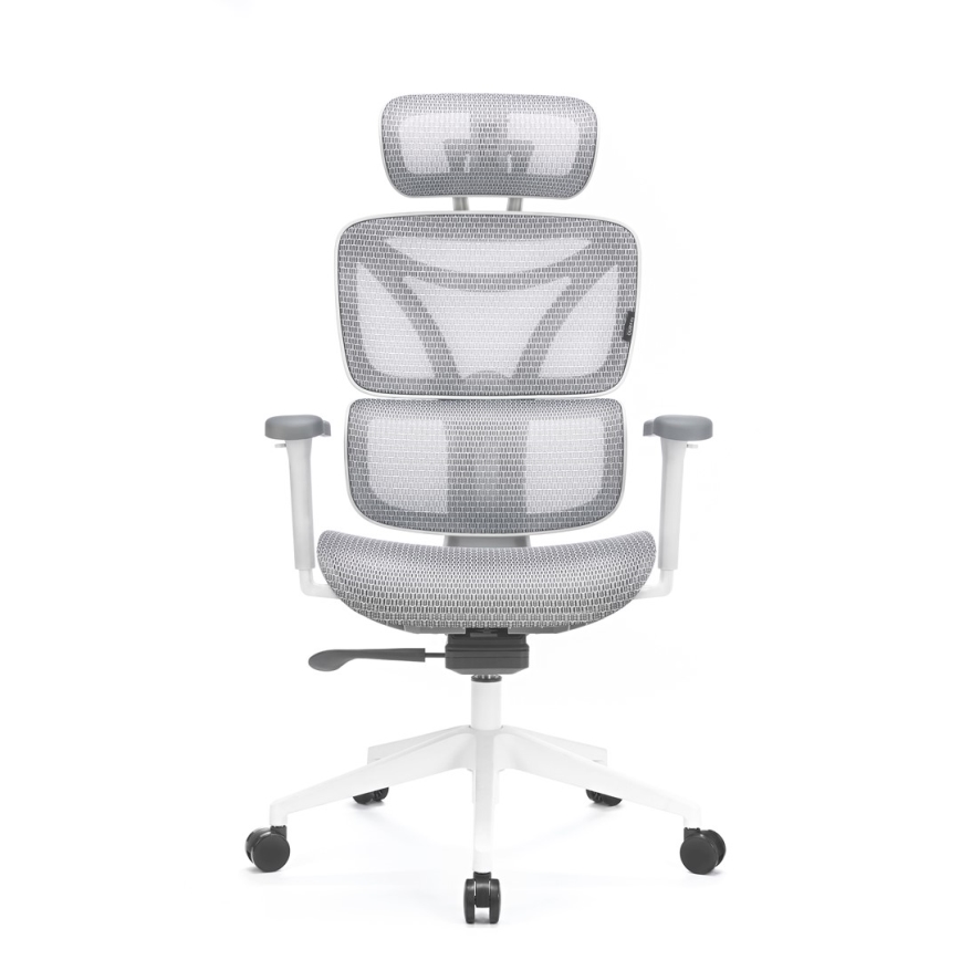 Ergonomski pisarniški stol LEVANO siva/bela/črna