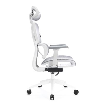 Ergonomski pisarniški stol LEVANO siva/bela/črna