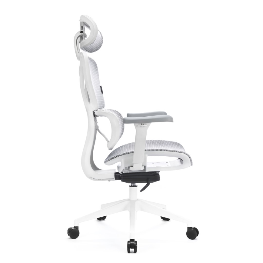 Ergonomski pisarniški stol LEVANO siva/bela/črna