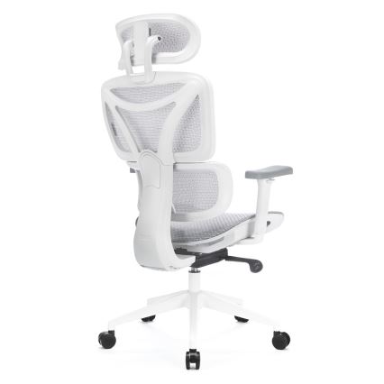 Ergonomski pisarniški stol LEVANO siva/bela/črna