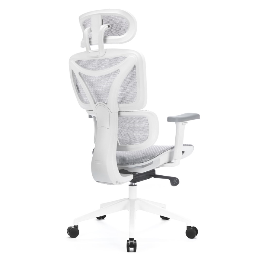 Ergonomski pisarniški stol LEVANO siva/bela/črna