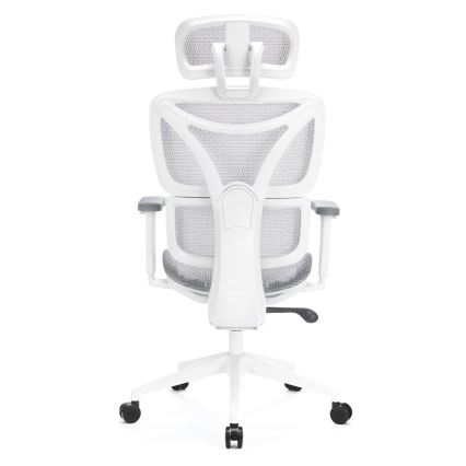 Ergonomski pisarniški stol LEVANO siva/bela/črna