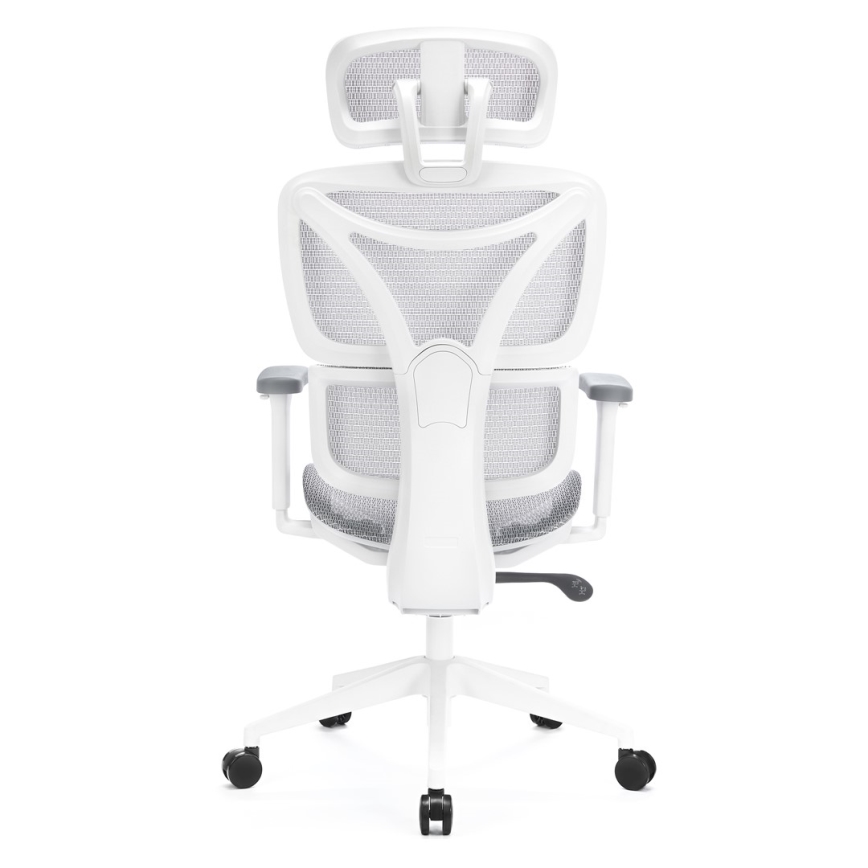 Ergonomski pisarniški stol LEVANO siva/bela/črna