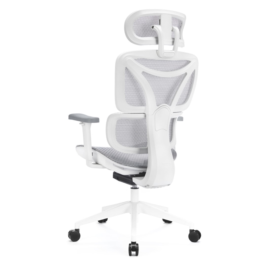 Ergonomski pisarniški stol LEVANO siva/bela/črna