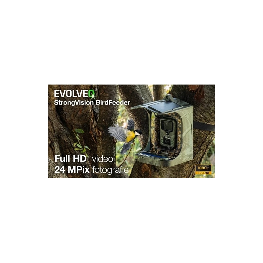 Evolveo - StrongVision BirdFeeder - pametni hranilnik za ptice s kamero in sončnimi paneli