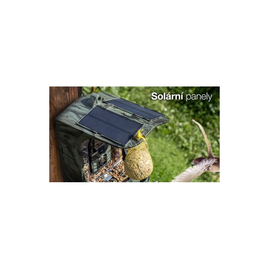 Evolveo - StrongVision BirdFeeder - pametni hranilnik za ptice s kamero in sončnimi paneli