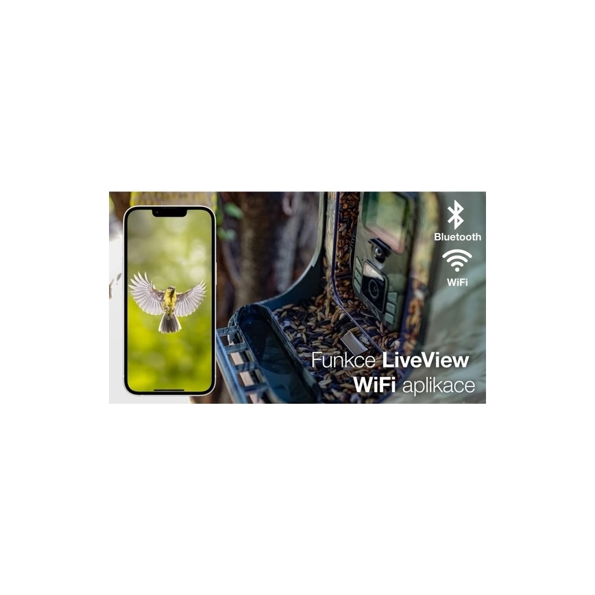 Evolveo - StrongVision BirdFeeder - pametni hranilnik za ptice s kamero in sončnimi paneli