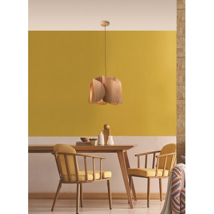 Fabas Luce 3672-40-132 - Lestenec na vrvici PEVERO 1xE27/40W/230V les