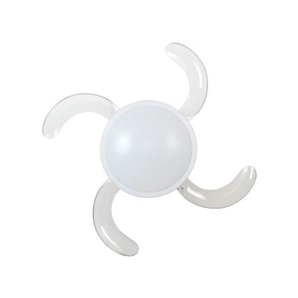 Lucci Air 212980 - Stropni ventiláator FANAWAY EVORA 2xE27/15W/230V