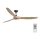 FARO 33519 - Stropni ventilator MOREA rjava pr. 152 cm + Daljinski upravljalnik