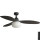 FARO 34301-11L - Stropni ventilator PALMA 1xE27/15W/230V rjava pr. 129 cm IP44 + Daljinski upravljalnik
