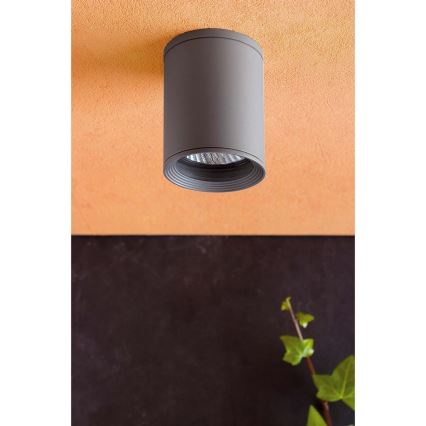 FARO 70806 - Zunanji reflektor TASA 1xE27/75W/230V IP44