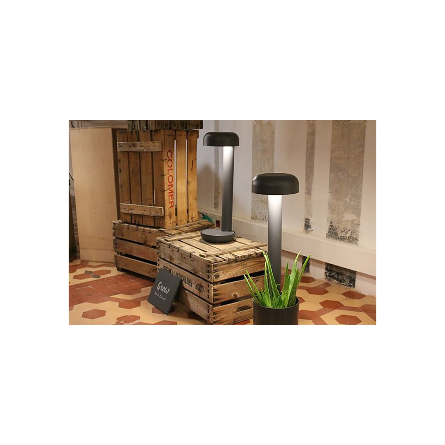 FARO 71206 - LED Zunanja svetilka GROW 1xLED/9W/230V IP65