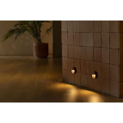 FARO 71962 - LED svetilo za stopnice DUNE LED/3W/230V 2200/2700/3200/4000K IP65 rjavo okroglo