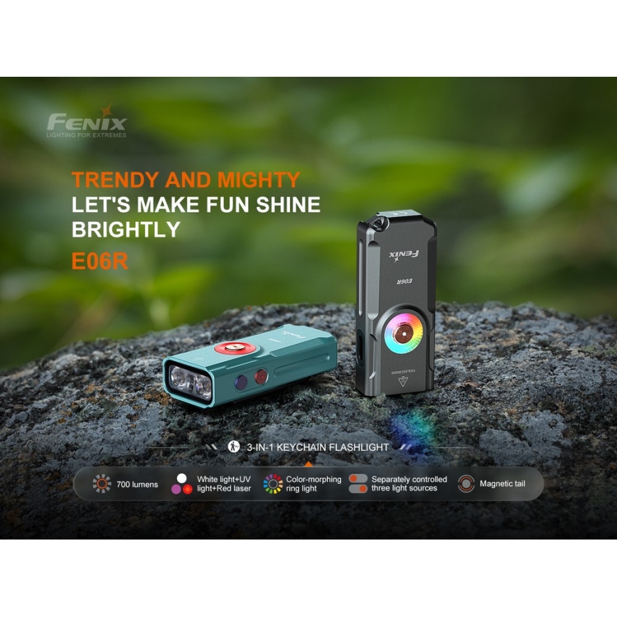 Fenix E06RGRY - LED Zatemnitvena polnilna svetilka UV LED/USB IP66 700 sijajni 60 h 750 mAh siva