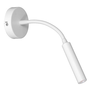 Fleksibilna mala svetilka ARDEN 1xG9/8W/230V bela