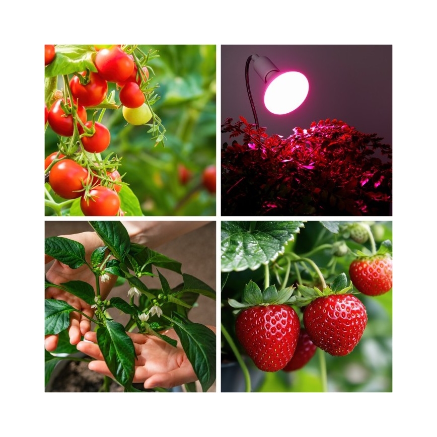 Fleksibilna namizna svetilka s sponko za gojenje rastlin PLANTY 1xE27/30W/230V bela