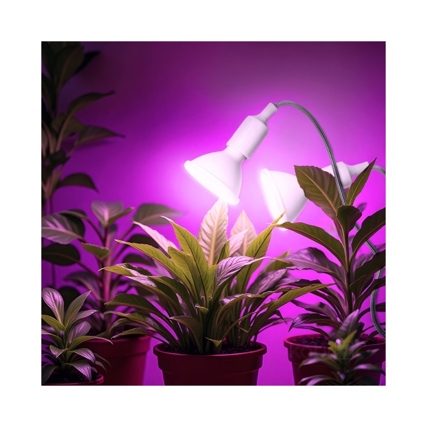 Fleksibilna namizna svetilka s sponko za gojenje rastlin PLANTY 2xE27/30W/230V bela