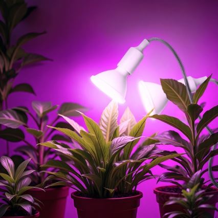 Fleksibilni namizna svetilka s sponko za gojenje rastlin PLANTY 2xE27/30W/230V bela