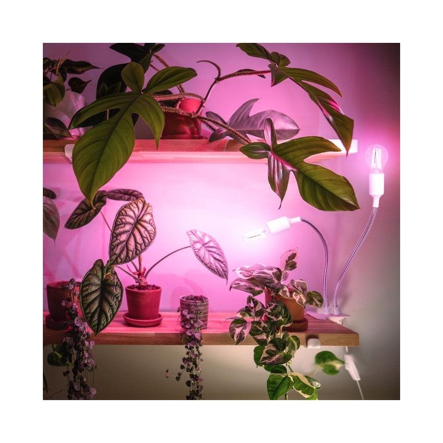 Fleksibilni namizna svetilka s sponko za gojenje rastlin PLANTY 2xE27/30W/230V bela