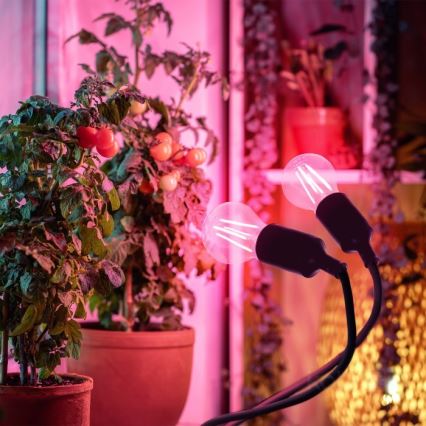 Fleksibilni namizna svetilka s sponko za gojenje rastlin PLANTY 2xE27/30W/230V črna