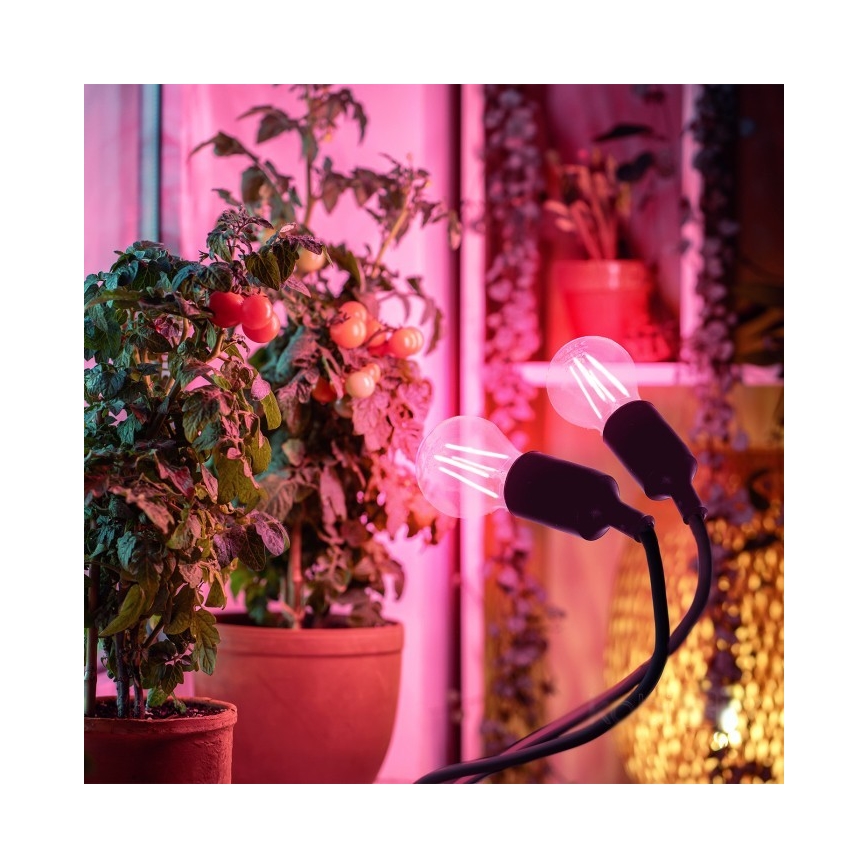 Fleksibilni namizna svetilka s sponko za gojenje rastlin PLANTY 2xE27/30W/230V črna