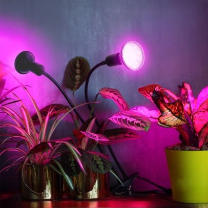 Fleksibilni namizna svetilka s sponko za gojenje rastlin PLANTY 2xE27/30W/230V črna