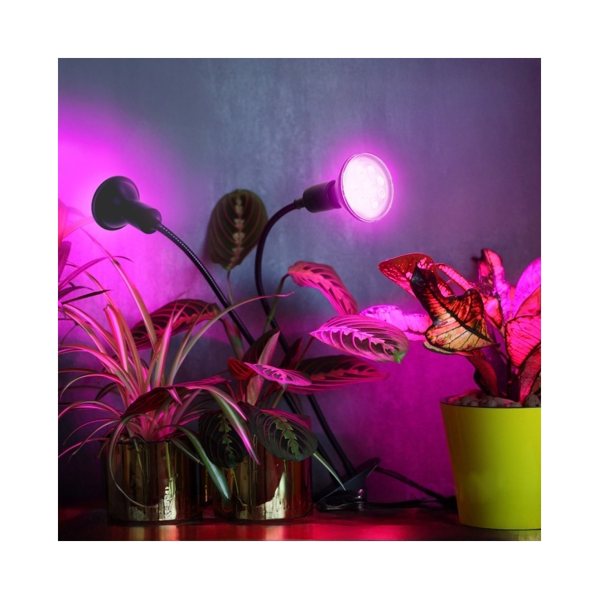 Fleksibilni namizna svetilka s sponko za gojenje rastlin PLANTY 2xE27/30W/230V črna
