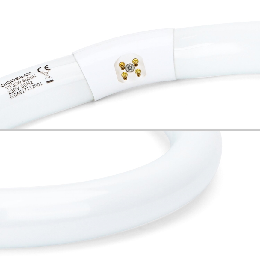 Fluorescenčna cev T9 G10q/32W/230V 6500K - Aigostar