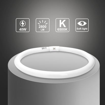 Fluorescenčna cev T9 G10q/40W/230V 6500K - Aigostar