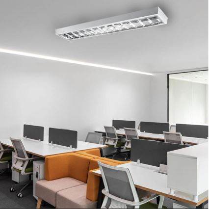 Fluorescenčna svetilka T8 2xG13/18W/230V 120 cm bela