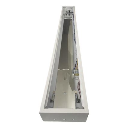 Fluorescenčna svetilka T8 2xG13/18W/230V 120 cm bela