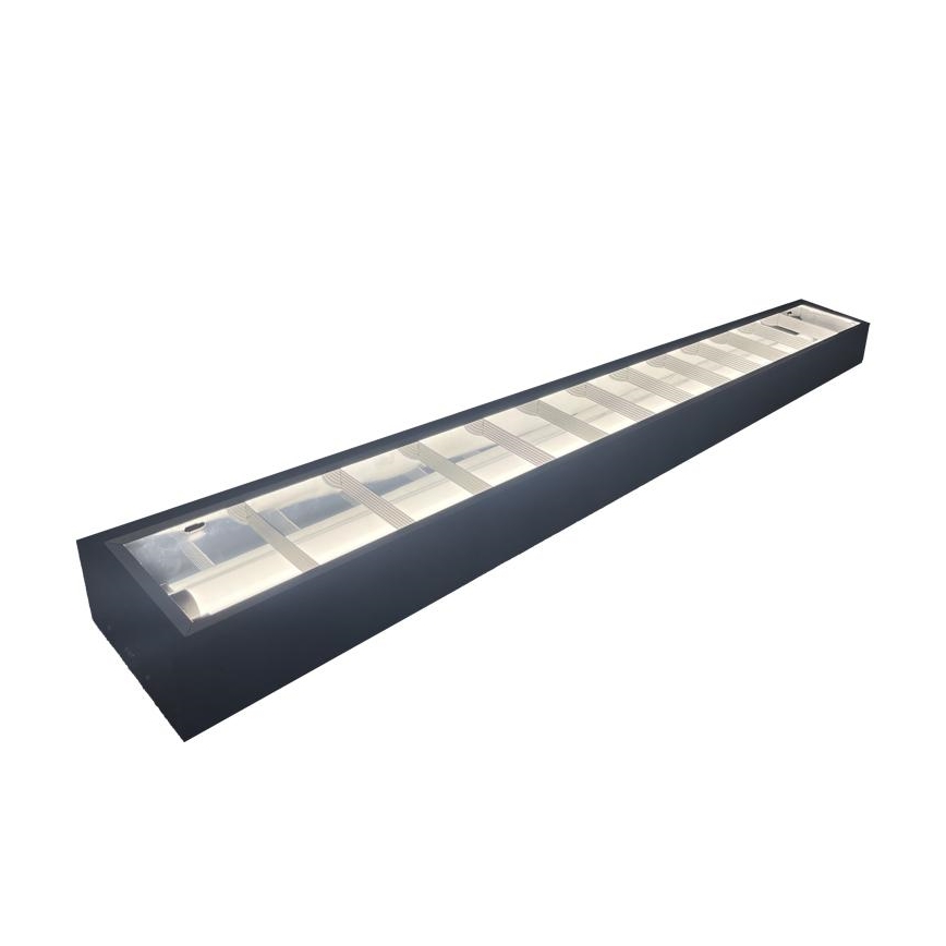 Fluorescenčna svetilka T8 2xG13/18W/230V 120 cm črna